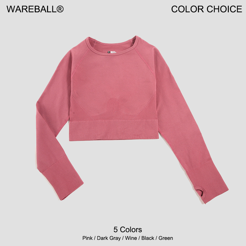 여성 셔츠 원활한 자르기 탑 피트니스 셔츠 긴 소매 스 - Yoga Fitness Hk 리뷰 및 가격